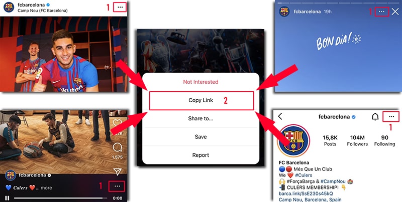 Copy Instagram link