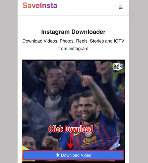 Click the video download button